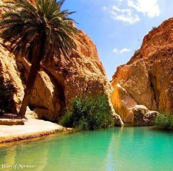 Paradise valley - nature morocco