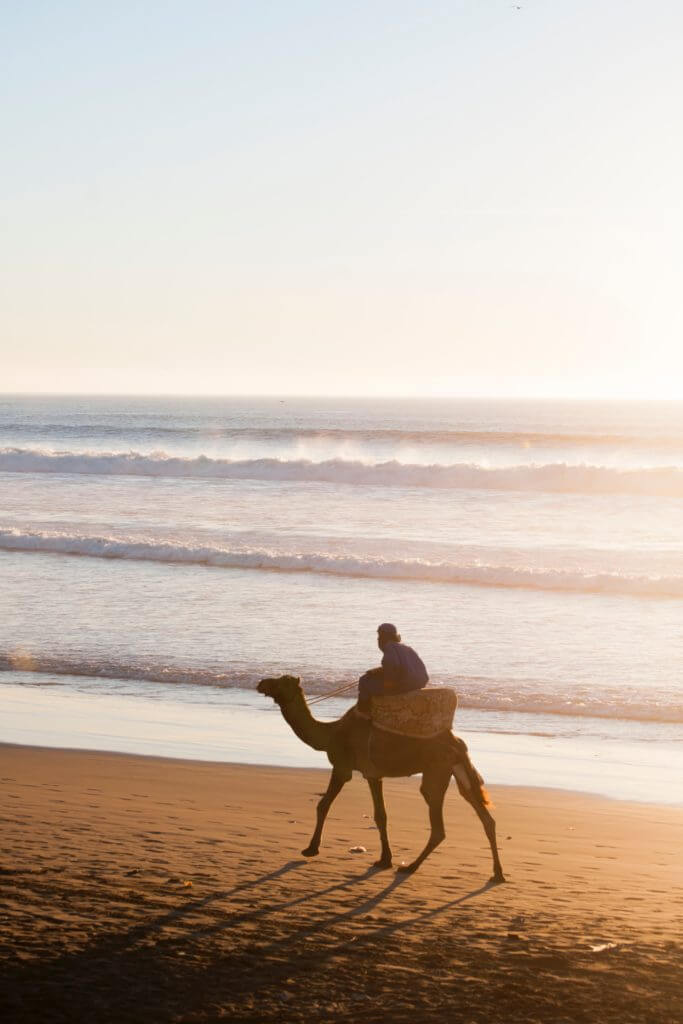 Surf in Morocco