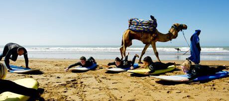 surfschool in Morocco