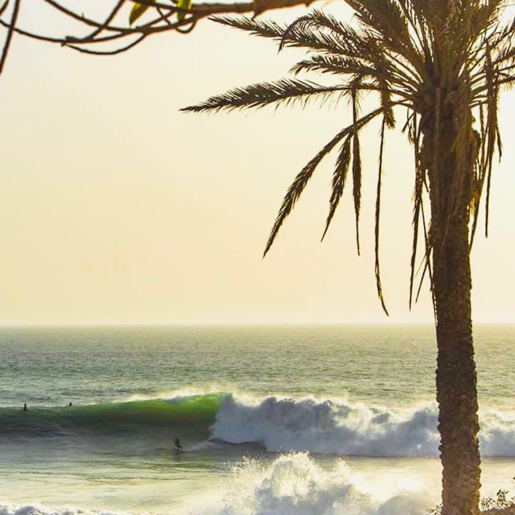 Surf winter Morocco