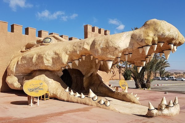 Crocopark Agadir, activity for children in Taghazout, tamraght and Agadir area during a surfcamp